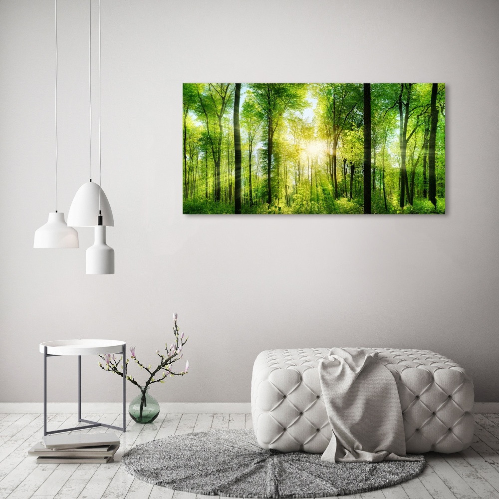 Tableau sur toile Forêt au soleil