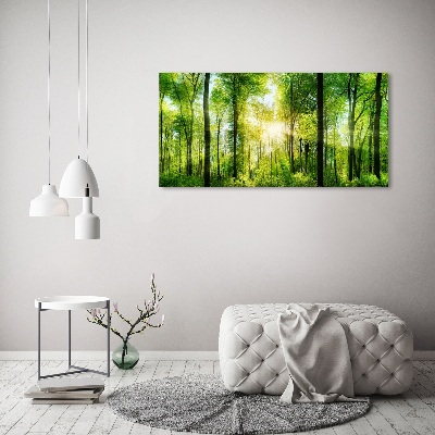 Tableau sur toile Forêt au soleil