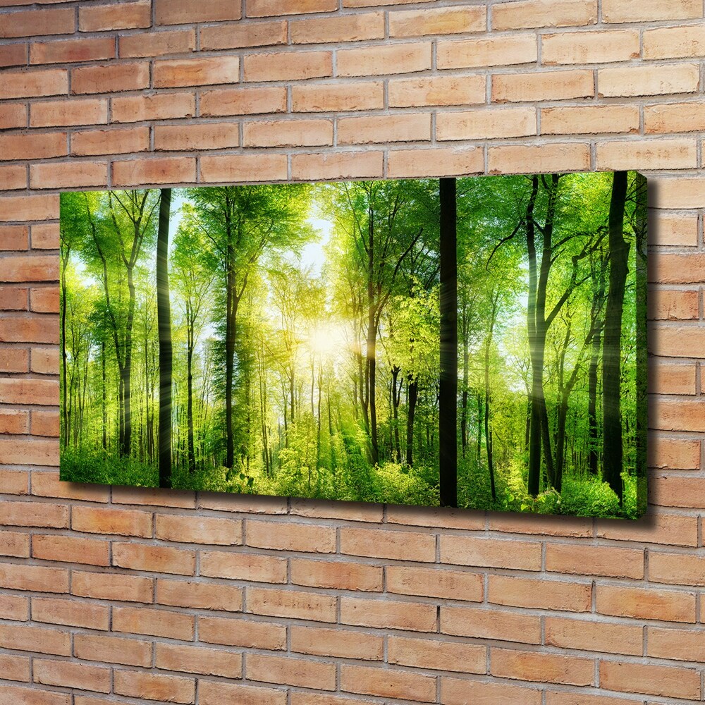 Tableau sur toile Forêt au soleil