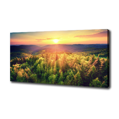 Tableau imprimé sur toile Forêt au coucher du soleil