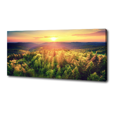 Tableau imprimé sur toile Forêt au coucher du soleil