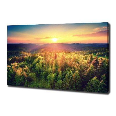 Tableau imprimé sur toile Forêt au coucher du soleil