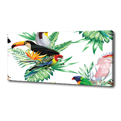 Tableau toile imprimée Oiseaux tropicaux