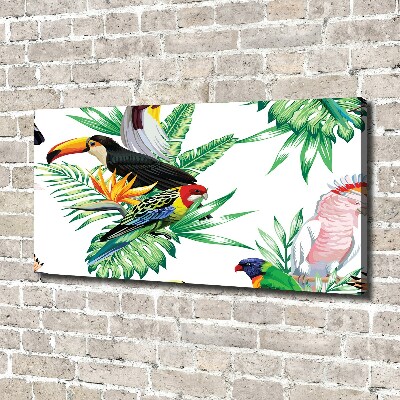 Tableau toile imprimée Oiseaux tropicaux