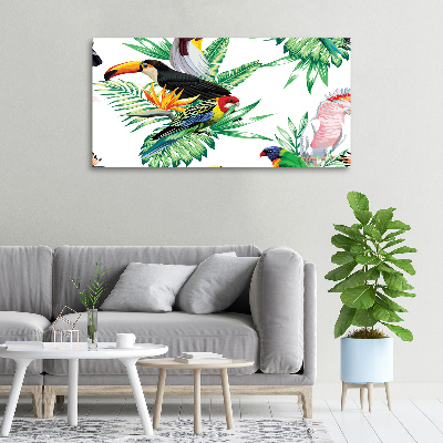 Tableau toile imprimée Oiseaux tropicaux