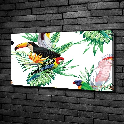 Tableau toile imprimée Oiseaux tropicaux