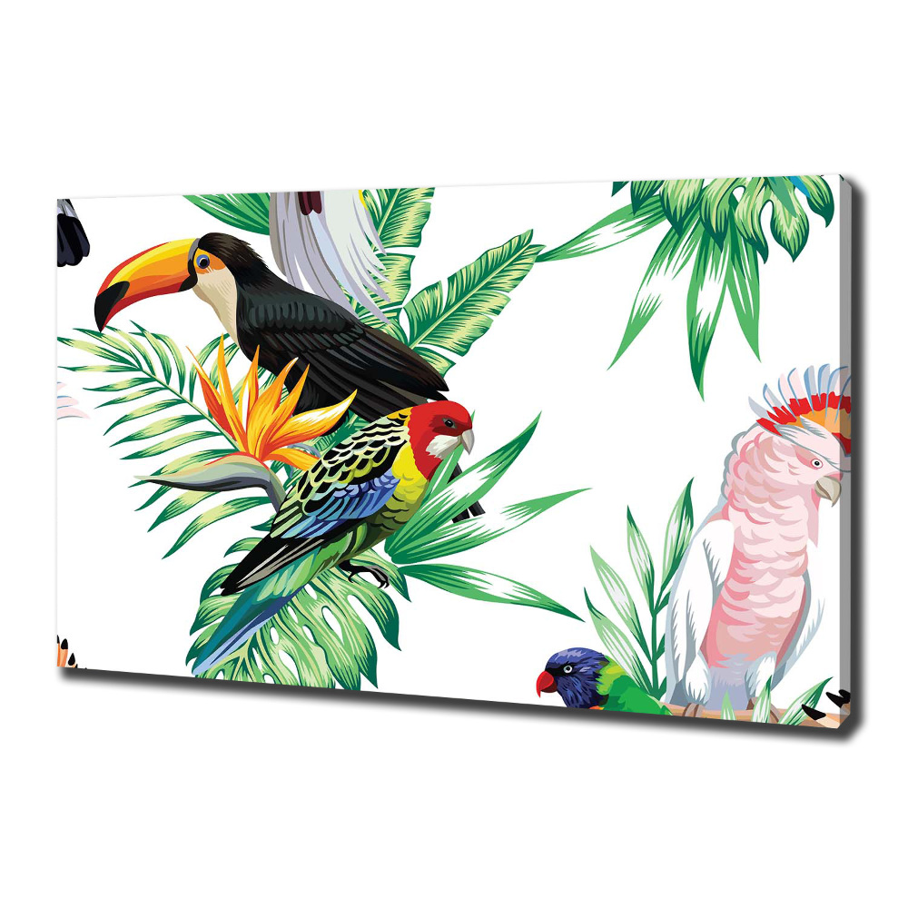 Tableau toile imprimée Oiseaux tropicaux