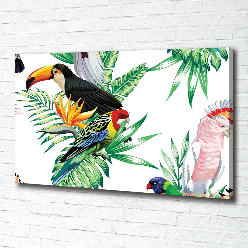 Tableau toile imprimée Oiseaux tropicaux