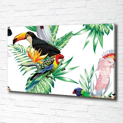 Tableau toile imprimée Oiseaux tropicaux