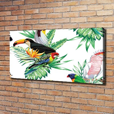 Tableau toile imprimée Oiseaux tropicaux