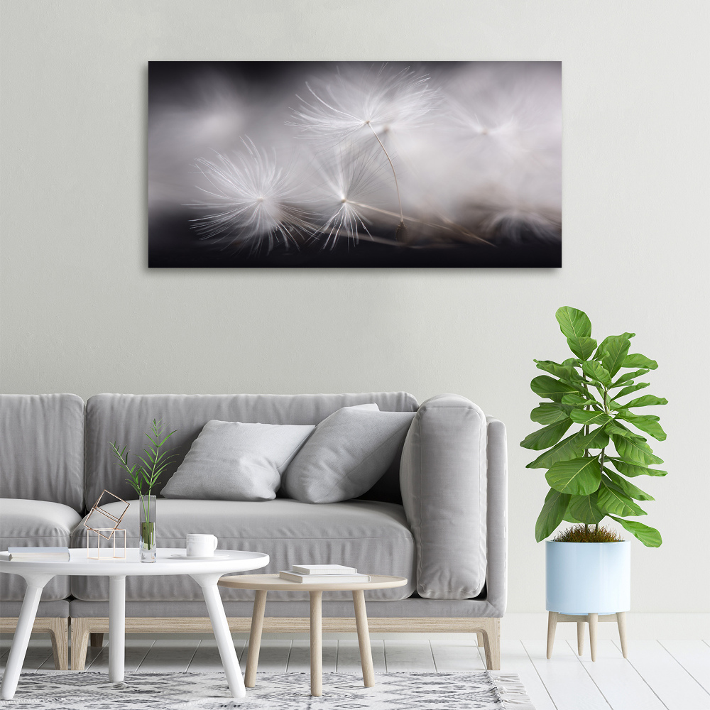 Tableau photo sur toile Graine de bouffi