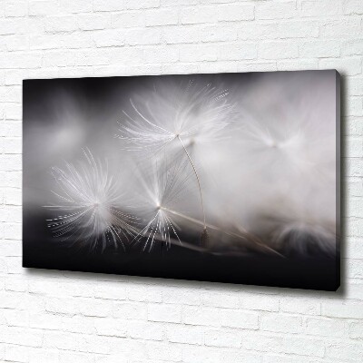 Tableau photo sur toile Graine de bouffi