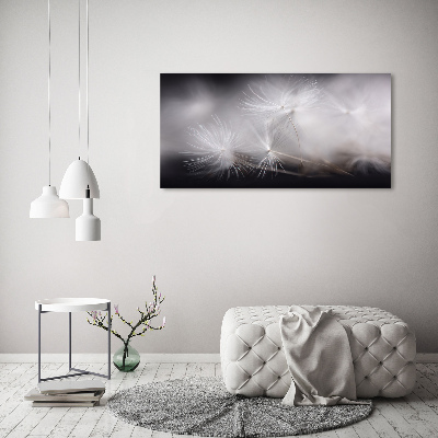 Tableau photo sur toile Graine de bouffi