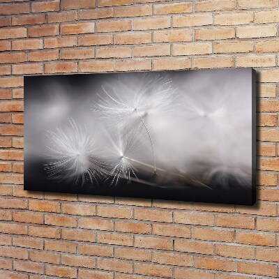 Tableau photo sur toile Graine de bouffi