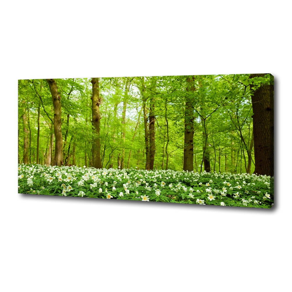 Tableau imprimé sur toile Fleurs en forêt