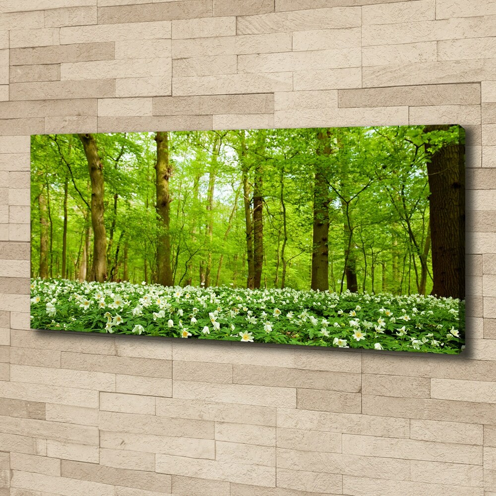 Tableau imprimé sur toile Fleurs en forêt