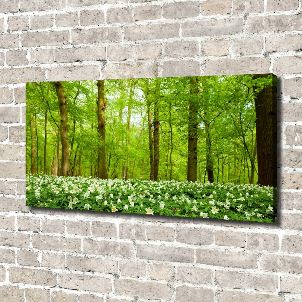 Tableau imprimé sur toile Fleurs en forêt