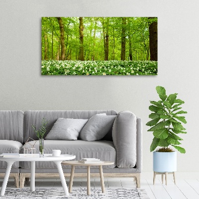 Tableau imprimé sur toile Fleurs en forêt