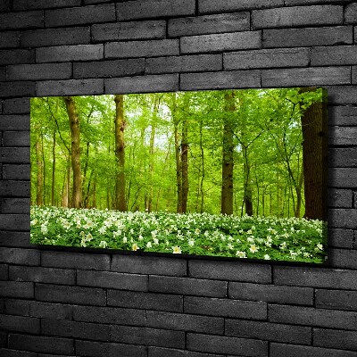 Tableau imprimé sur toile Fleurs en forêt