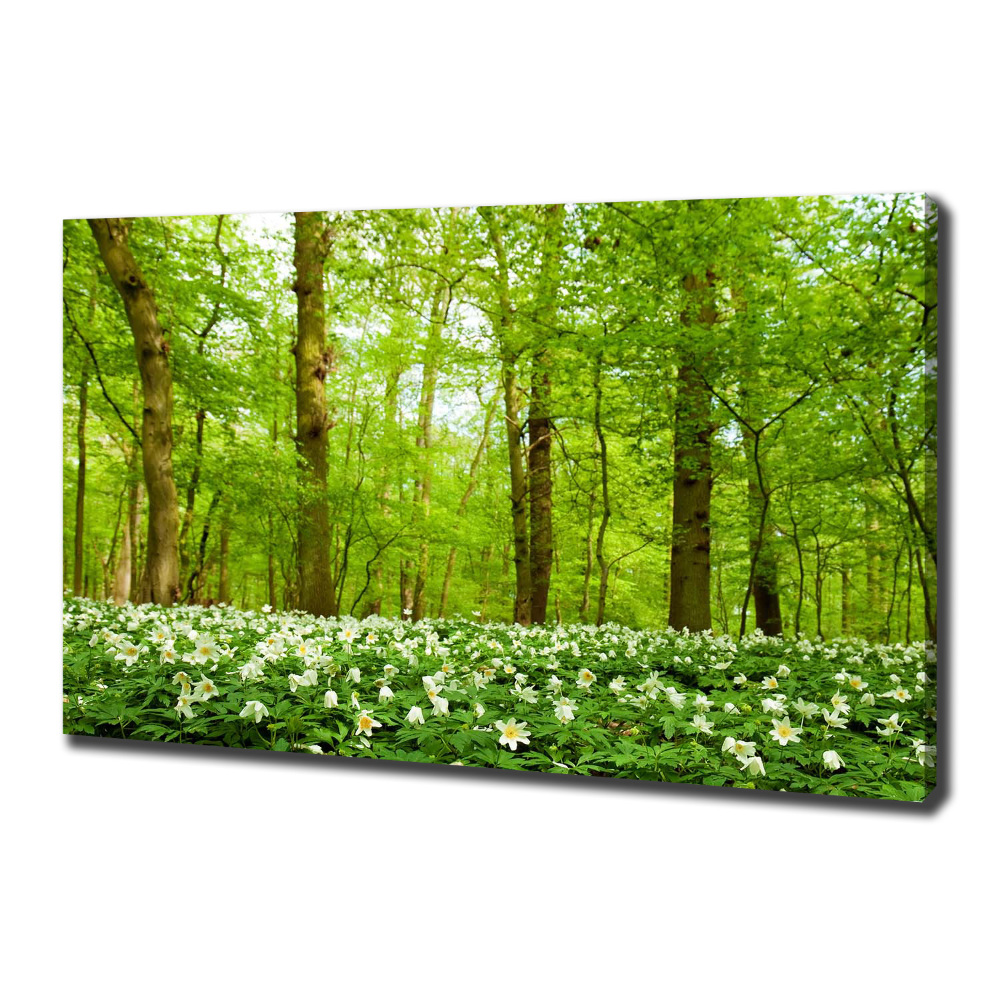 Tableau imprimé sur toile Fleurs en forêt