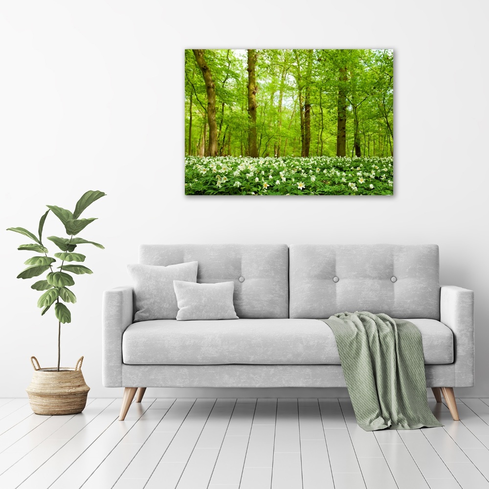 Tableau imprimé sur toile Fleurs en forêt