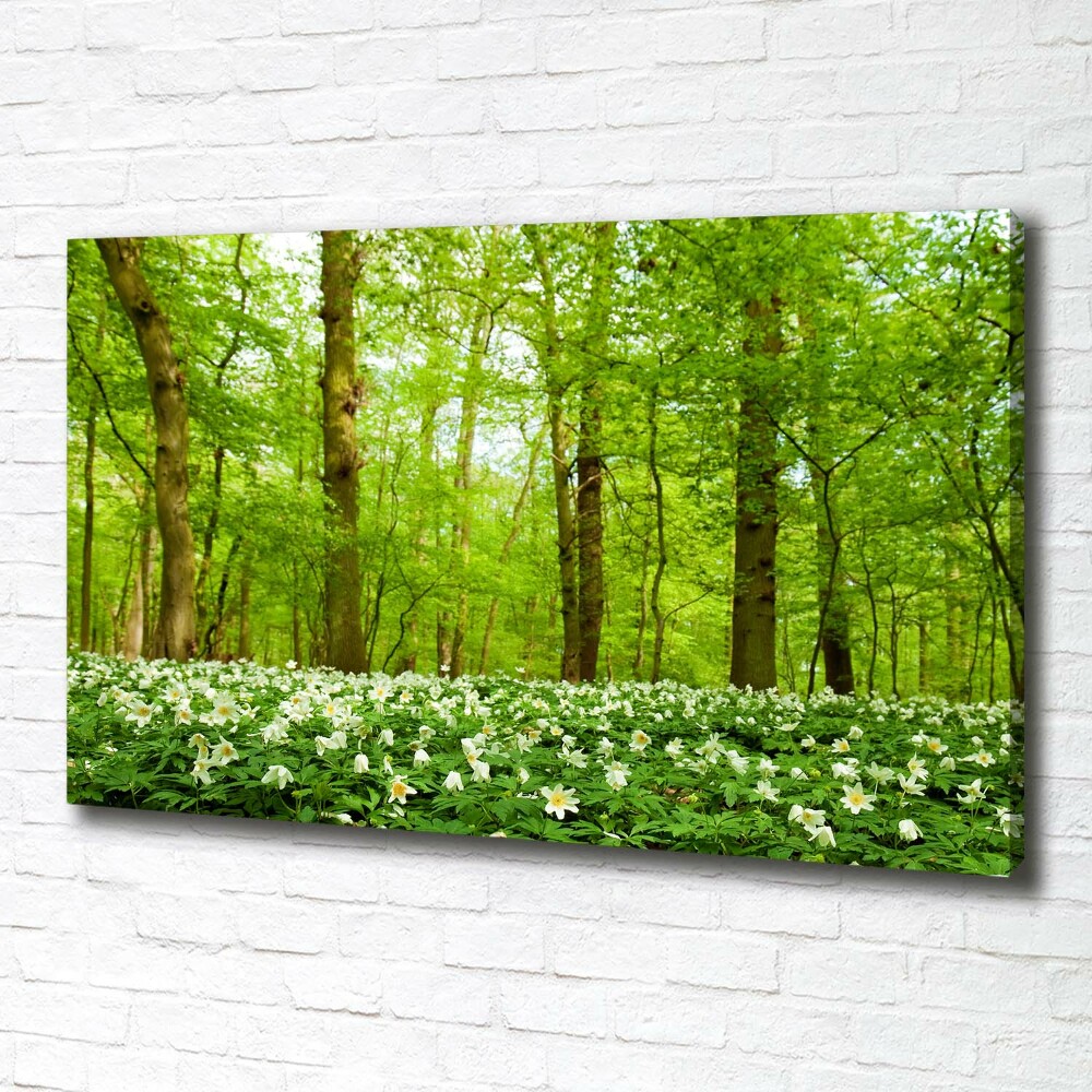 Tableau imprimé sur toile Fleurs en forêt