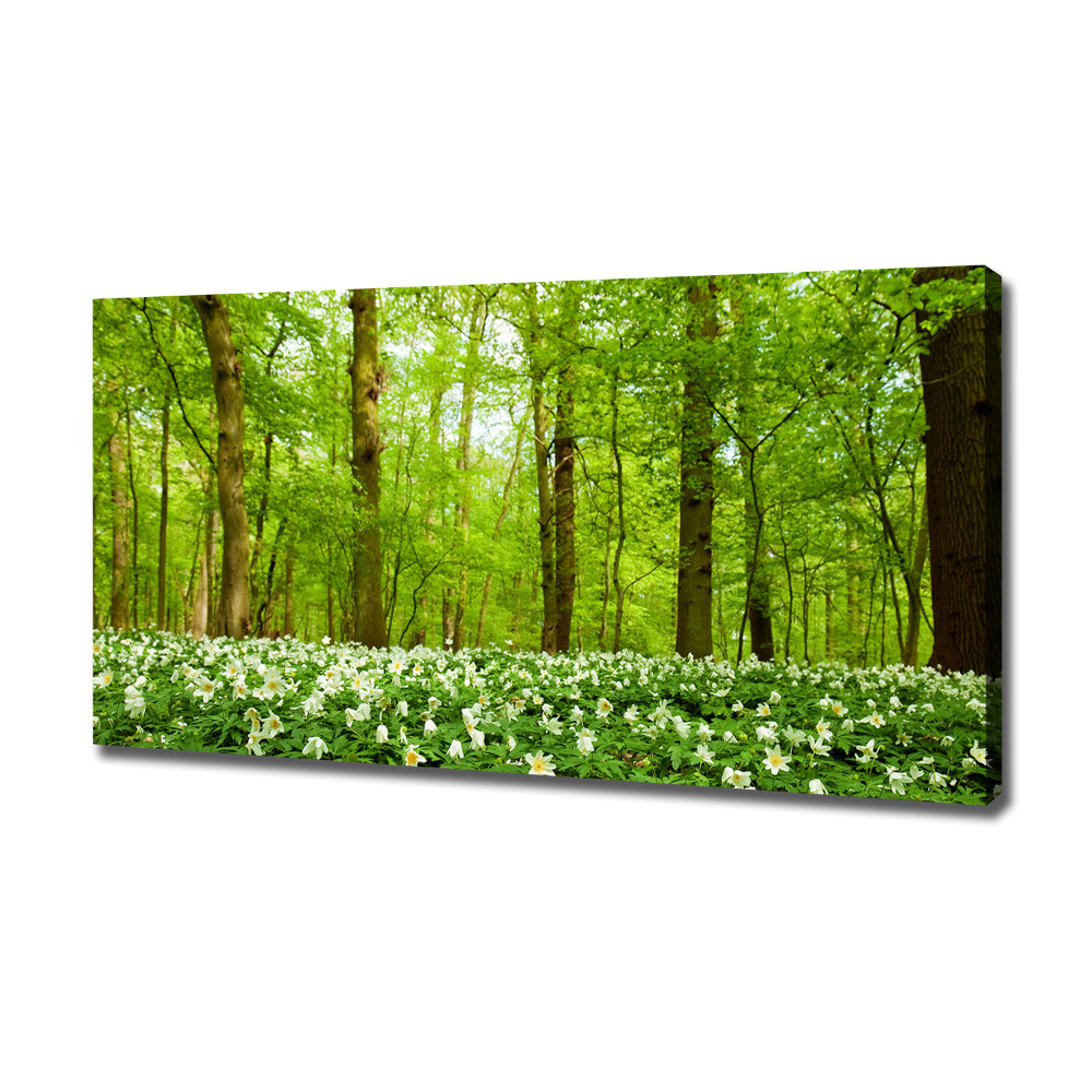 Tableau imprimé sur toile Fleurs en forêt