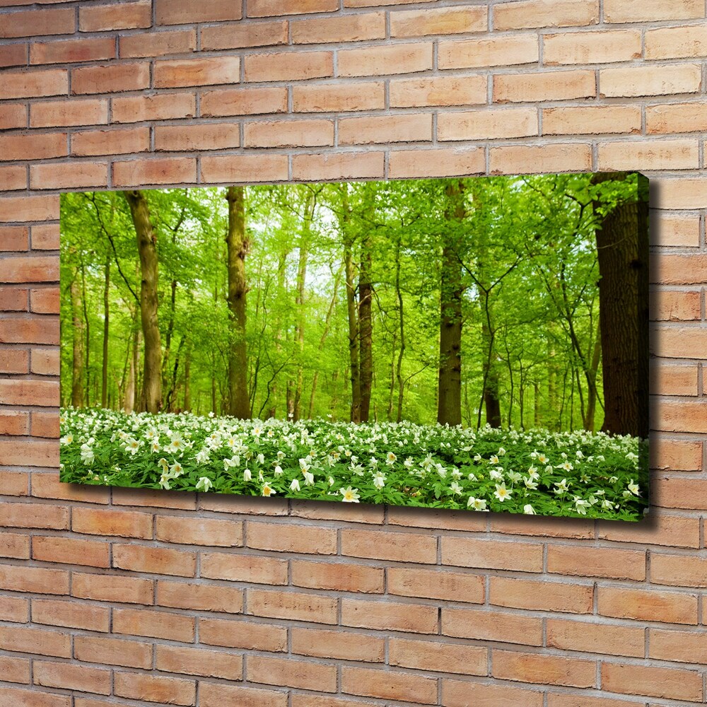 Tableau imprimé sur toile Fleurs en forêt