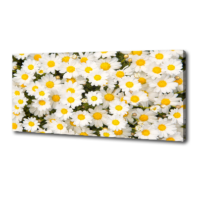 Tableau imprimé sur toile Marguerites