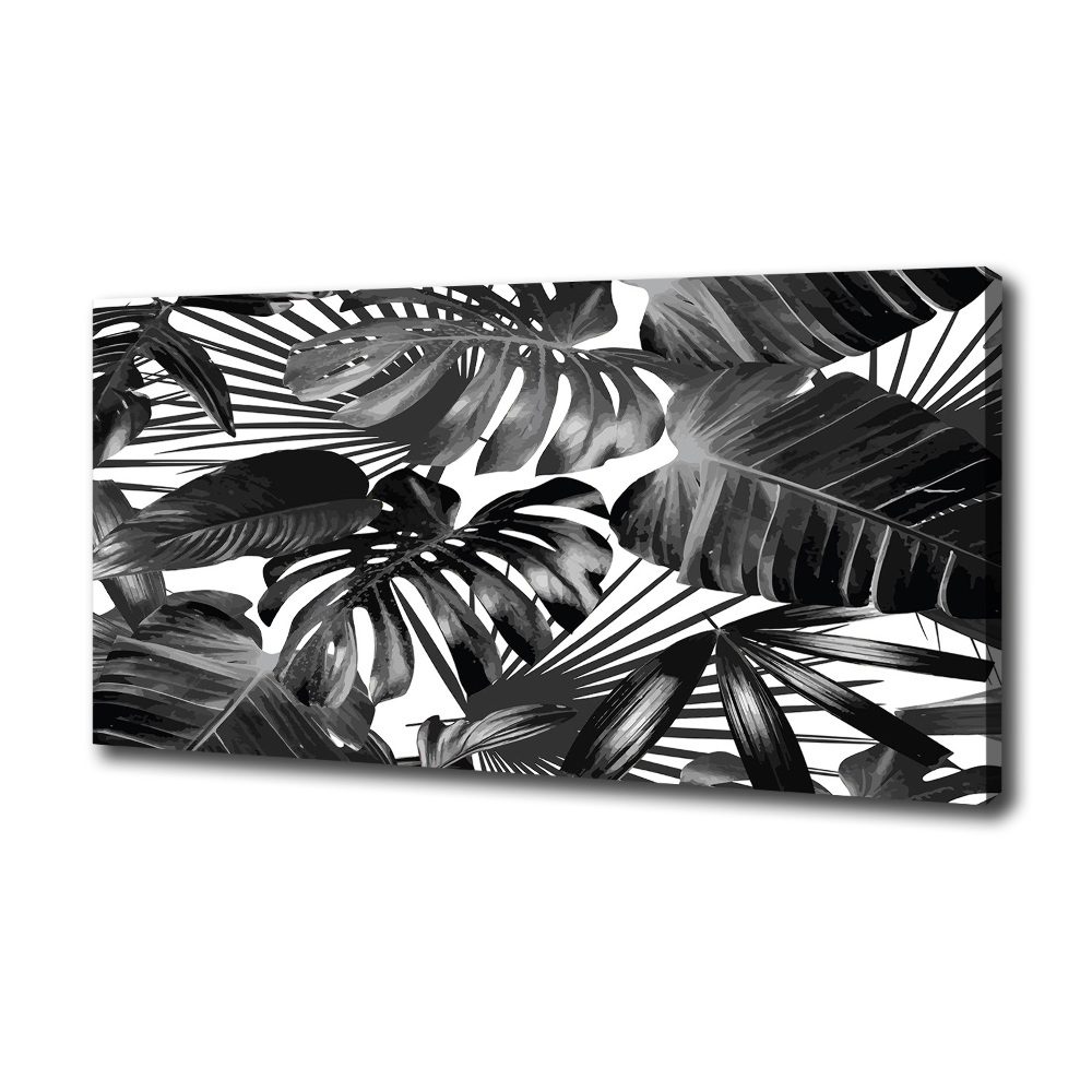 Tableau sur toile Feuilles tropicales