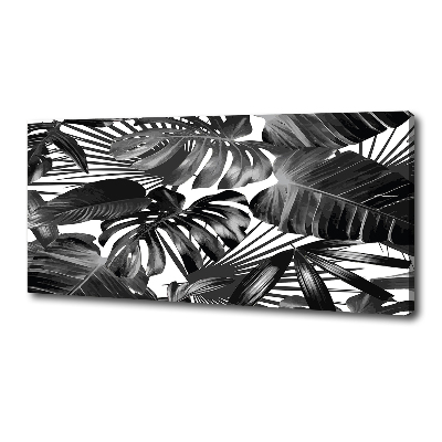 Tableau sur toile Feuilles tropicales