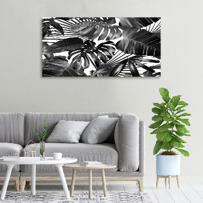 Tableau sur toile Feuilles tropicales