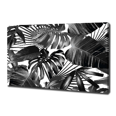 Tableau sur toile Feuilles tropicales