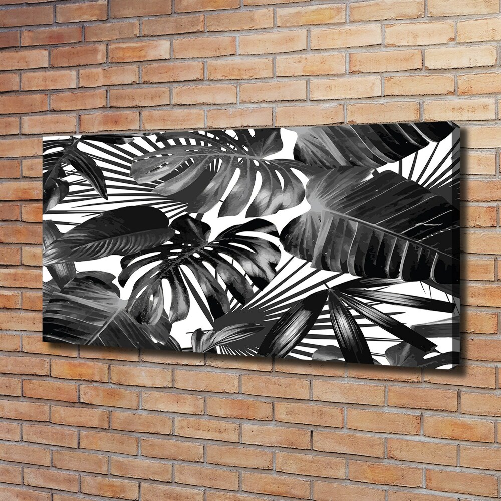 Tableau sur toile Feuilles tropicales