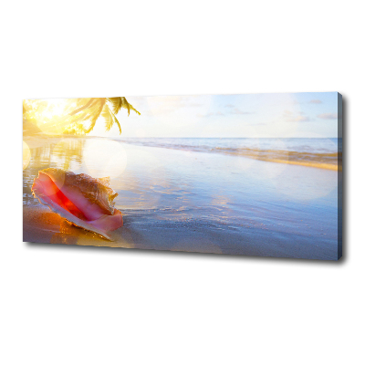 Tableau mural sur toile Coquillage sur la plage