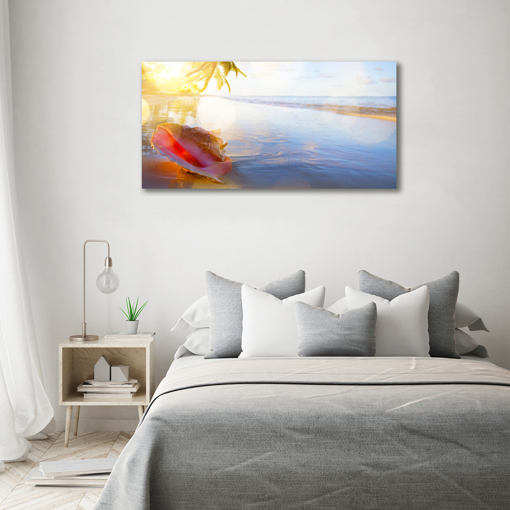 Tableau mural sur toile Coquillage sur la plage