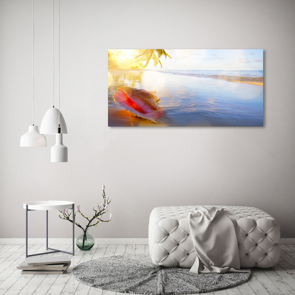 Tableau mural sur toile Coquillage sur la plage