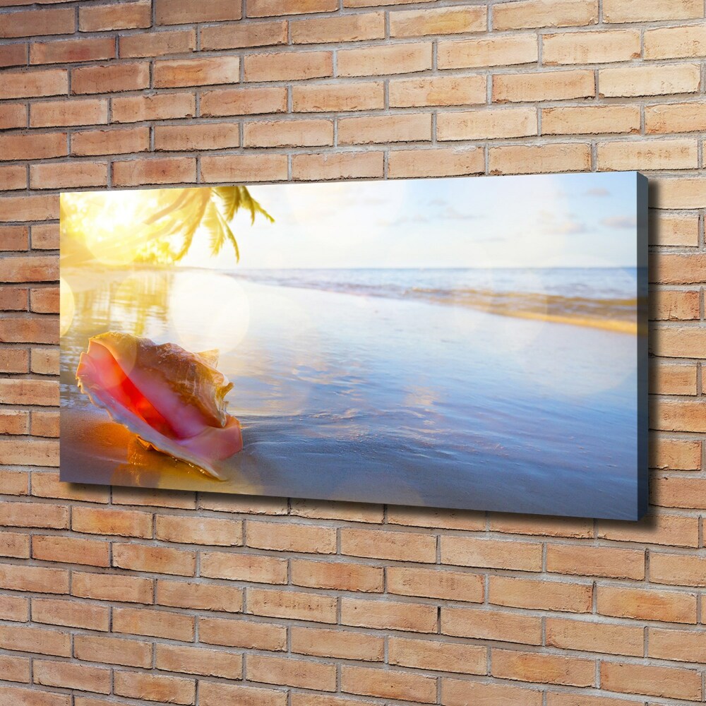 Tableau mural sur toile Coquillage sur la plage