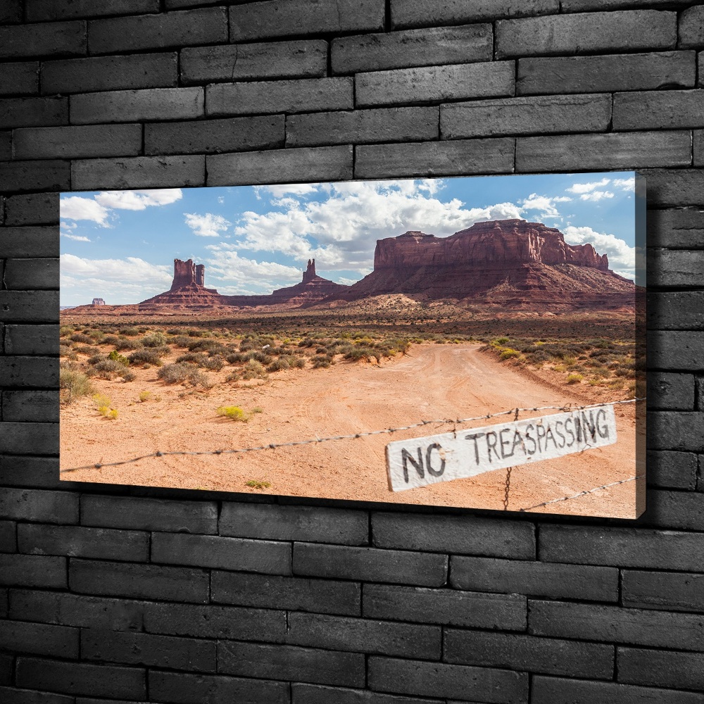 Tableau photo sur toile Arizona USA