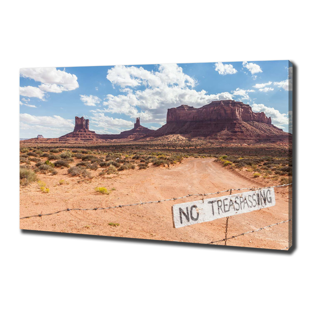 Tableau photo sur toile Arizona USA