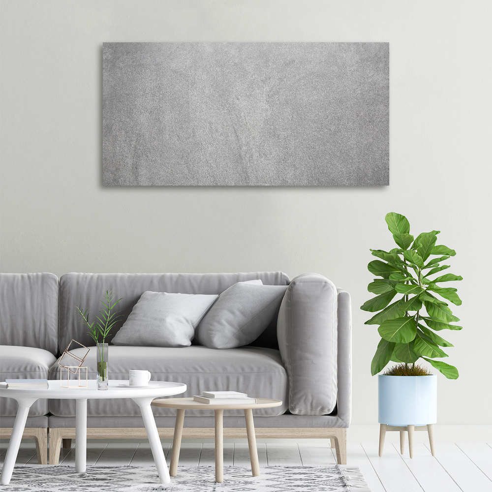 Tableau mural sur toile Mur gris