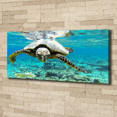 Tableau sur toile Tortue de mer