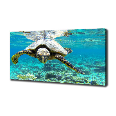 Tableau sur toile Tortue de mer