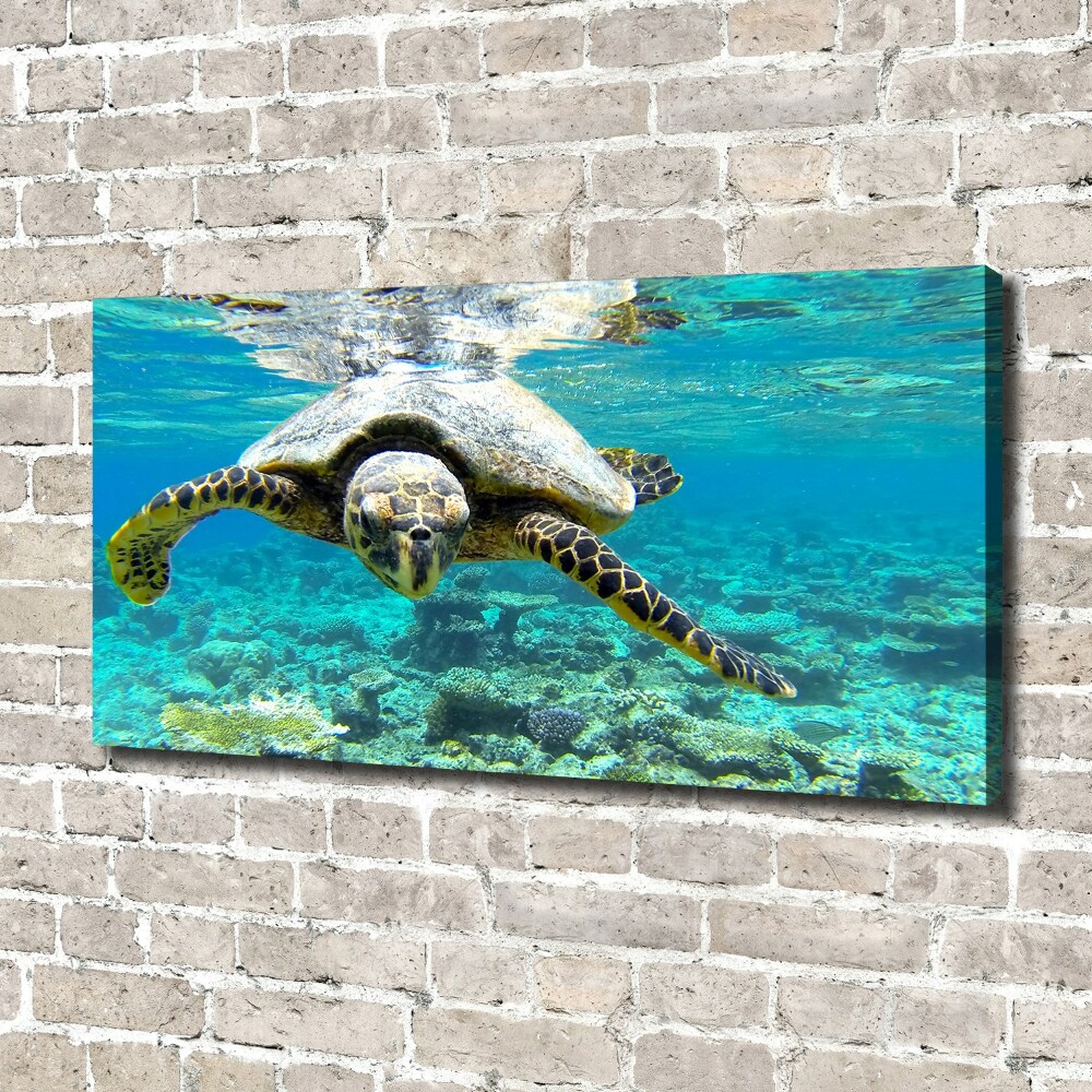 Tableau sur toile Tortue de mer