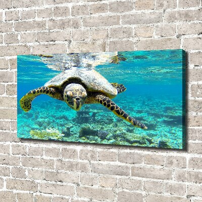 Tableau sur toile Tortue de mer