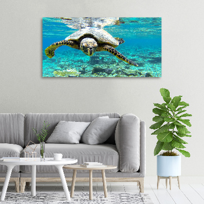 Tableau sur toile Tortue de mer