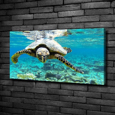 Tableau sur toile Tortue de mer