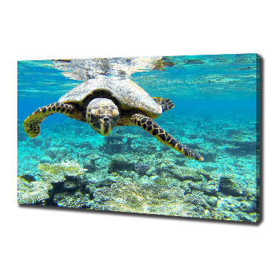 Tableau sur toile Tortue de mer