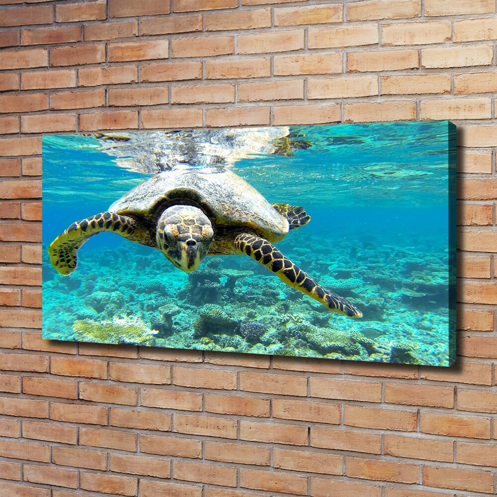 Tableau sur toile Tortue de mer