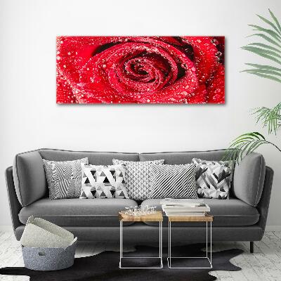 Tableau mural sur toile Gouttes d'eau sur une rose